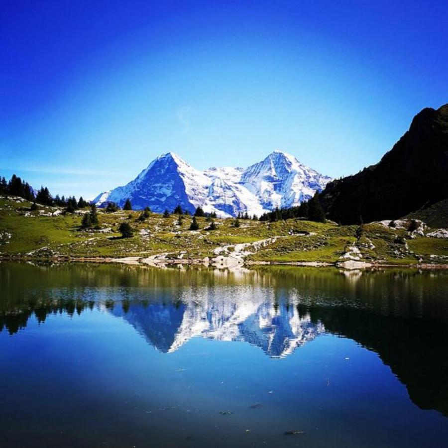 Swisshut Stunning Views Alps Lake - Chalet Erli دارليغن المظهر الخارجي الصورة