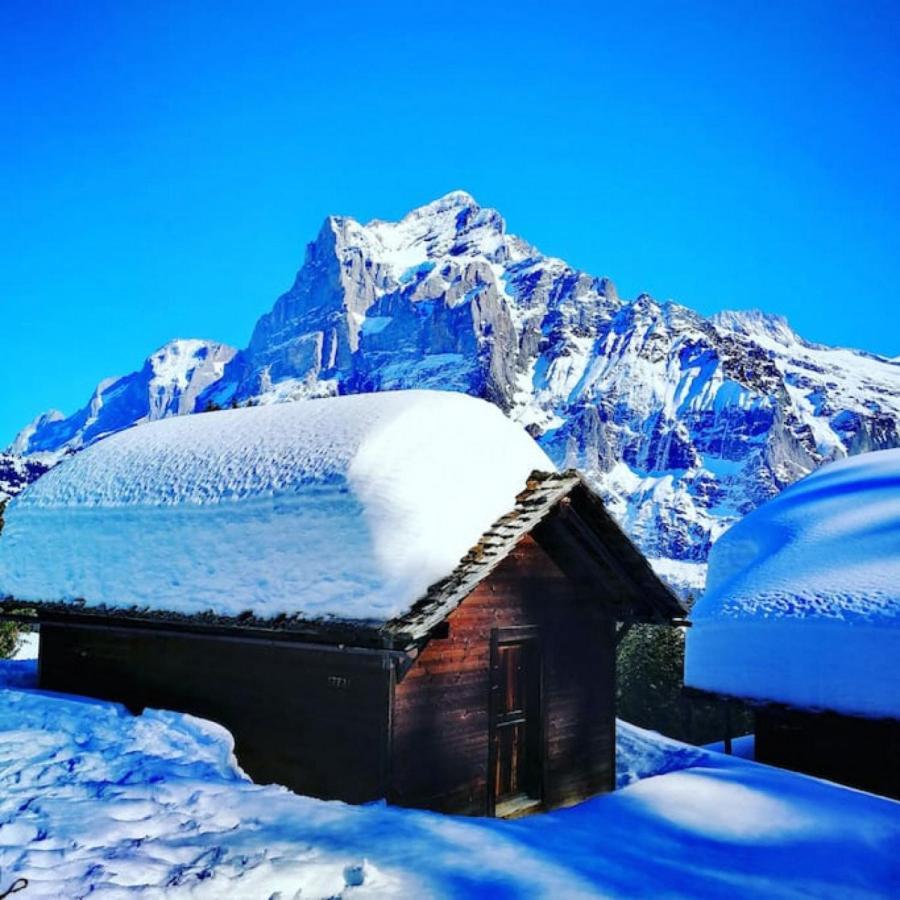 Swisshut Stunning Views Alps Lake - Chalet Erli دارليغن المظهر الخارجي الصورة